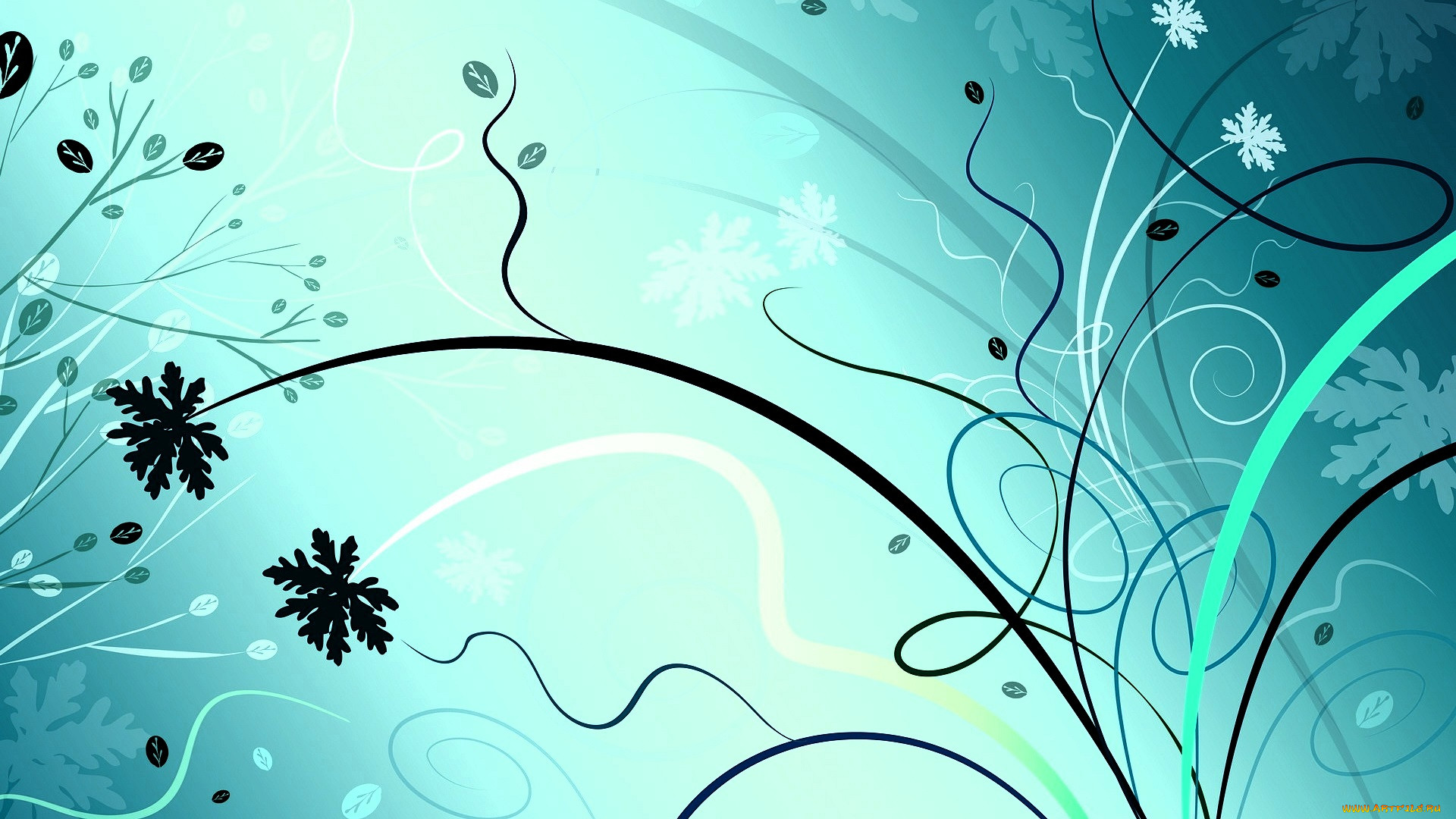  ,  , flowers, , 